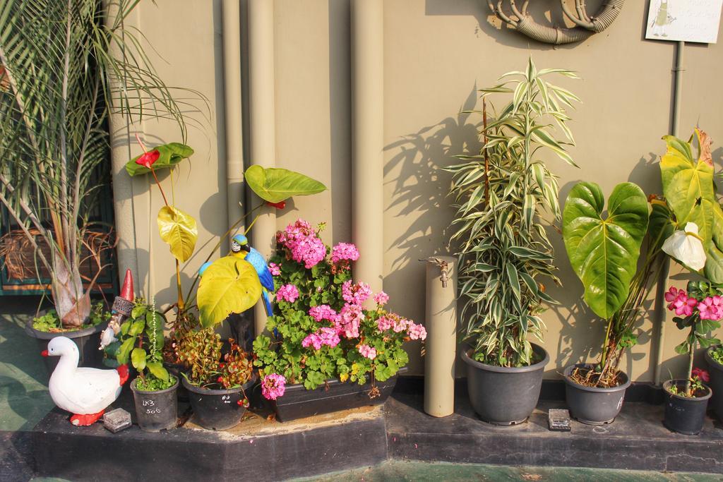 Yes Paradise Kandy Exterior foto